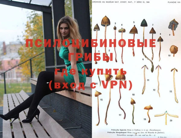 а пвп мука Армянск