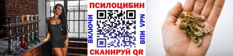 где купить   это какой сайт  Галлюциногенные грибы мухоморы  Кировск 